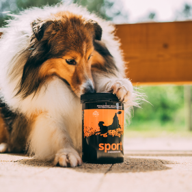 CHONDROLINE SPORT - FOR SPORTING DOGS