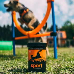 ChondroLine Sport - naturalny suplement dla psów sportowych