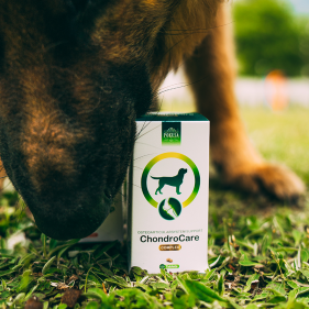 Pills for joints- ChondroCare