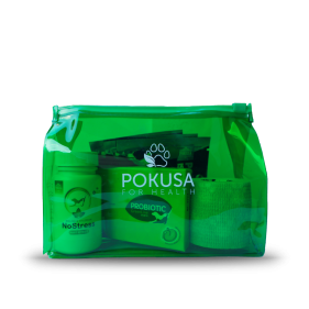 First aid kit for a dog in a waterproof sachet
