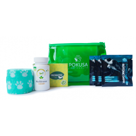 First aid kit for a dog in a waterproof sachet