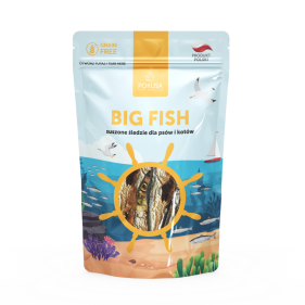 BIG FISH for dogs and cats