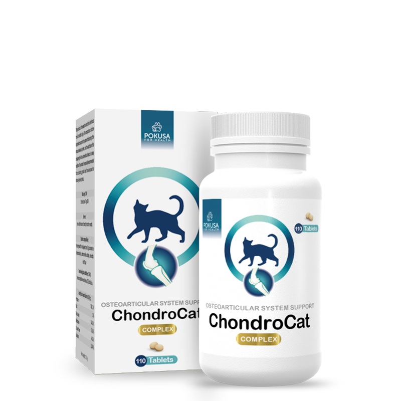 ChondroCat - wsparcie układu kostno-stawowego u kotów