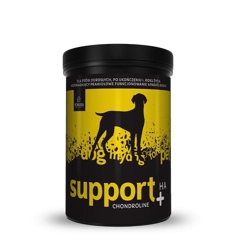 CHONDROLINE SUPPORT +HA - natural supplements