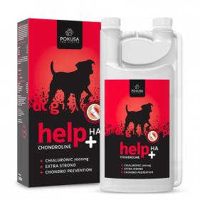 Chondroline Help+Ha - natural supplements for dogs  
 
 proper functioning of the musculoskeletal system 
 high dose of hyaluronic acid 
 easy... Joint supplement - ChondroLine Help + HA