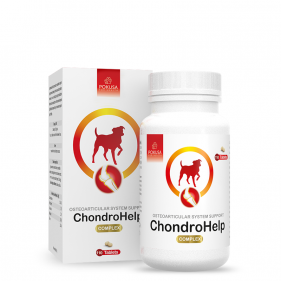 ChondroHelp - natural supplements