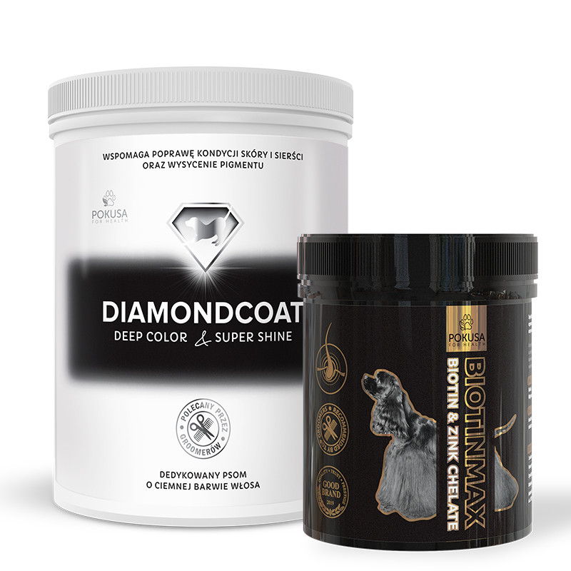 DIAMONDCOAT BIG SHOW SET (dark coat)