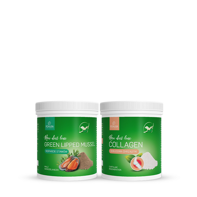 Joint kit for a small dog