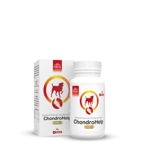 ChondroHelp tabletki na stawy - naturalne suplementy dla psów