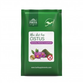 Cistus - natural supplements