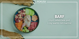 BARF - czym właściwie jest i czy warto nim karmić?