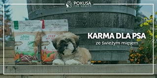 Karma dla psa ze świeżym mięsem