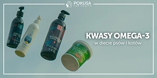 Kwasy Omega-3 w diecie psów i kotów