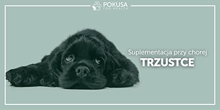 Suplementacja Przy Chorej Trzustce (Objawy, Choroby, Jak Leczyć)