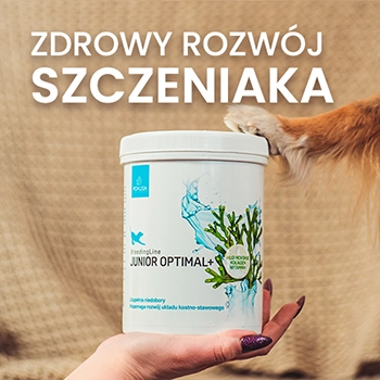 Zdrowy rozwój szczenięcia