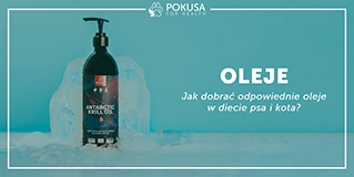 Oleje - jak dobrać odpowiednie oleje w diecie psa i kota?